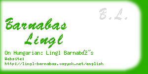 barnabas lingl business card